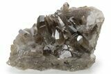 Smoky Quartz Crystal Cluster on Metal Stand - Brazil #229517-1